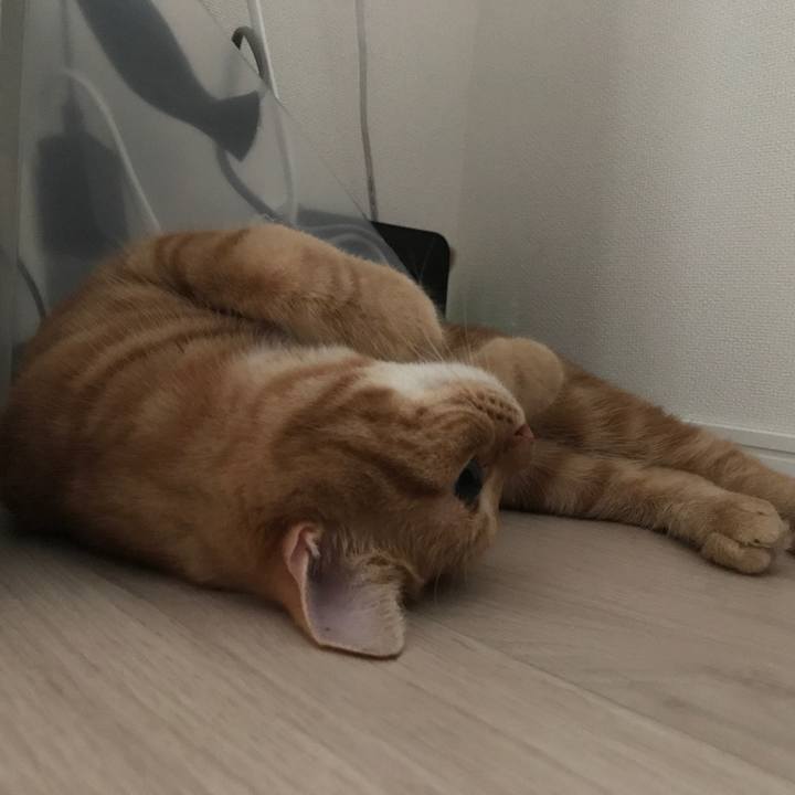 1fdcbaa5 d6d6 4e8a 8c0d b1c483efafd4