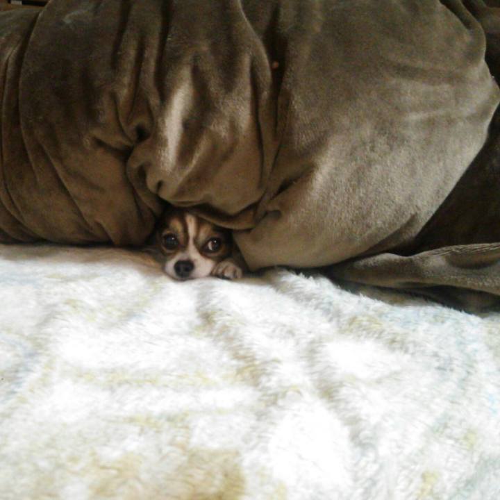 1fddb4cf 3d42 444d b34a 228219337ea7