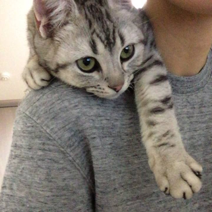 1fddf262 d00a 4dd3 bb11 6d9f80e5e987