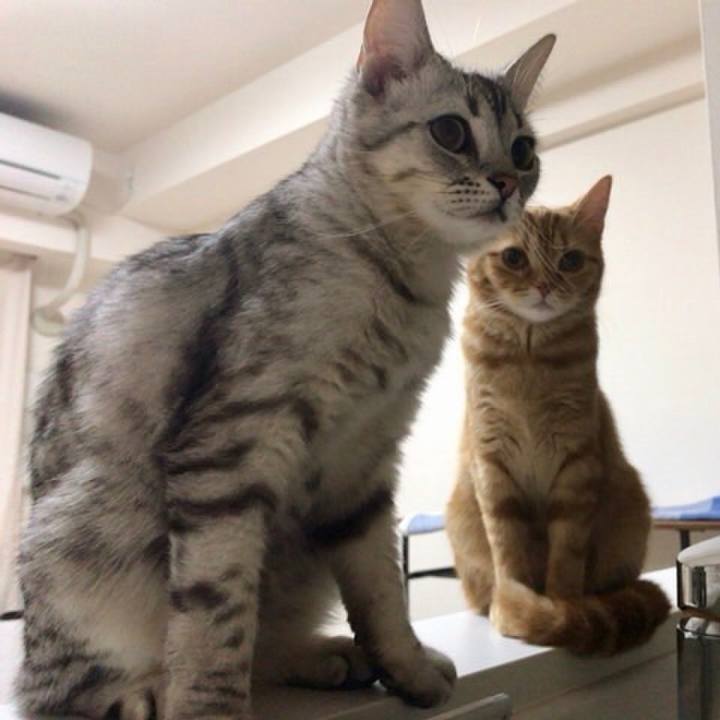 1fde6591 8f9d 4e85 b812 d02e913b6df6