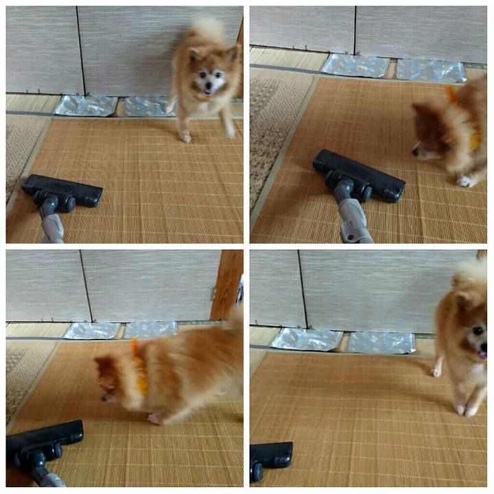 1fde672e 395a 487c a8b2 01e978296623