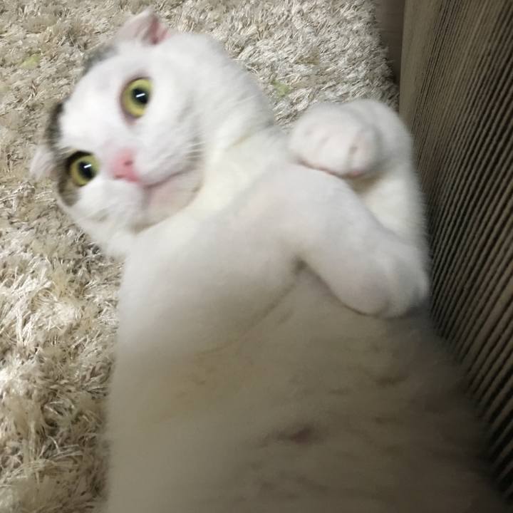 1fde915e 05bf 4e94 a518 eed8e1a02e05