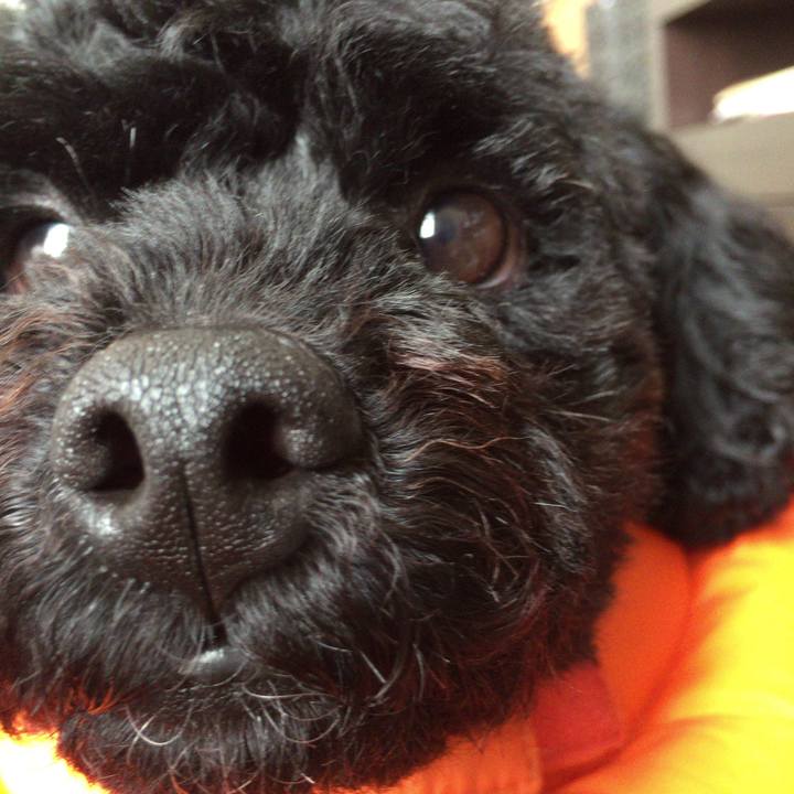 1fded5a4 7ec2 4085 a9f1 73ae608bebf2