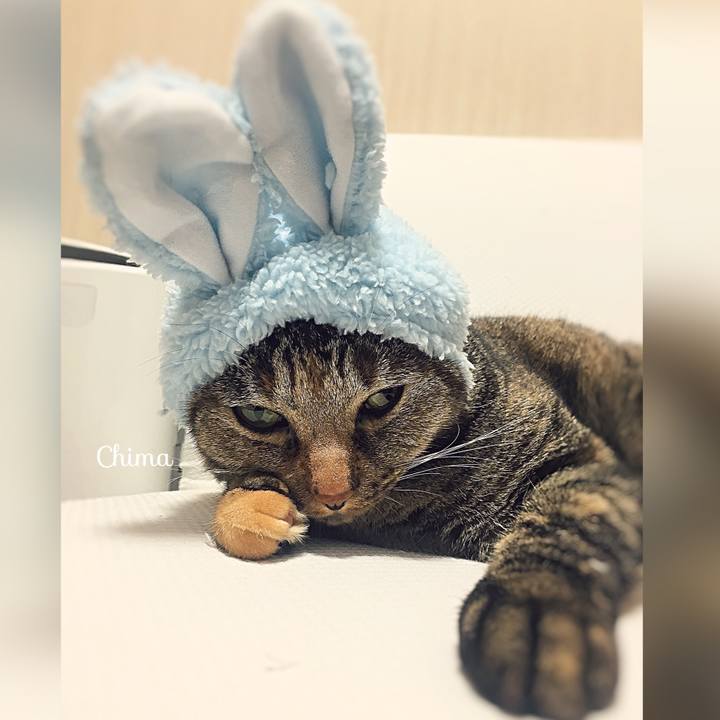 1fdeea0f 259d 4bac a485 c371813e806e