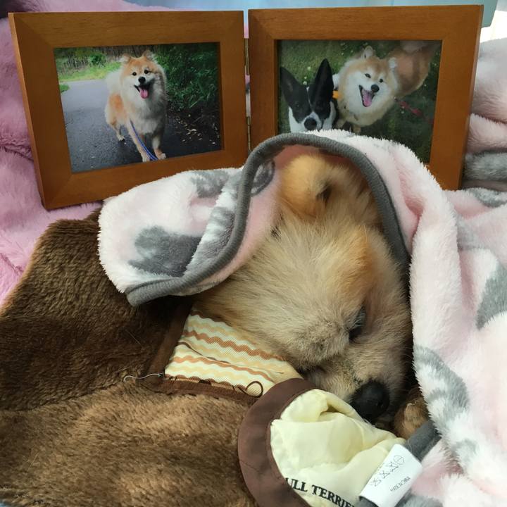 1fdefd81 ca68 4bac 88ed 1e38490ac7fc