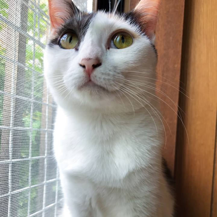 1fdf02fa 2898 4089 8119 eaa373a0adbd