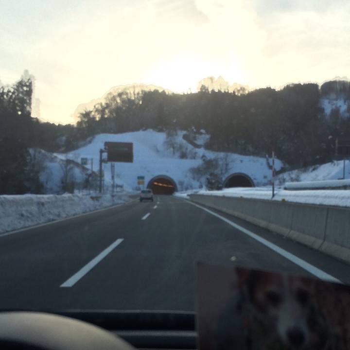 1fdf3d1e c518 48a0 9874 26ad99b19fd6