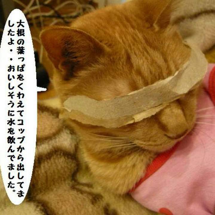 1fdf6797 40c4 40b8 bb73 c58f90516a13