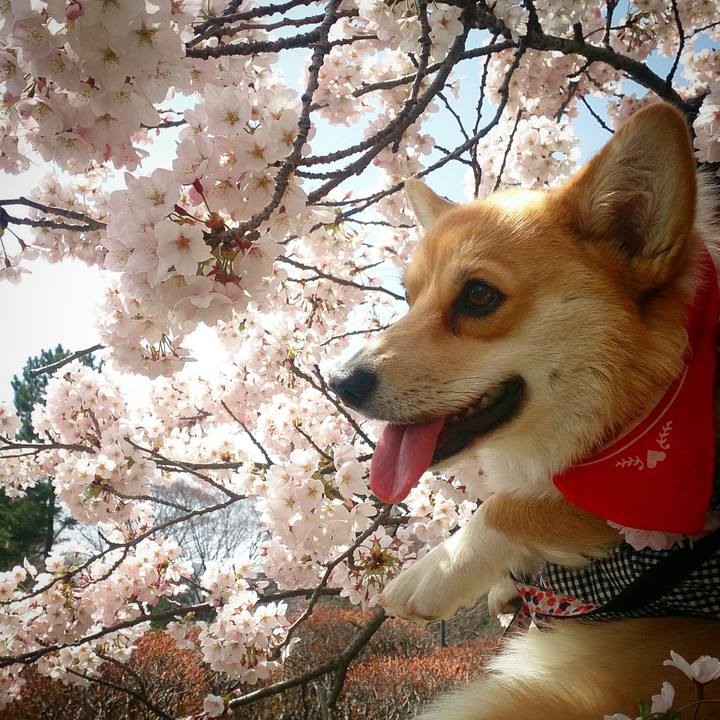 1fdf7c3e 40c5 447a 8051 2a1753b53ea3