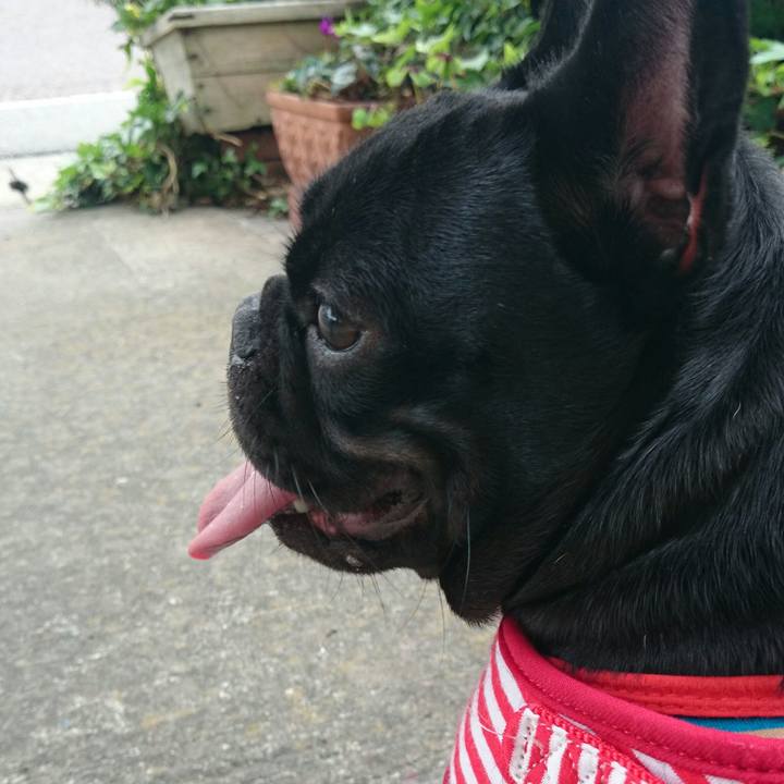 1fe053b6 59dc 4b91 956c 10d2470d477d