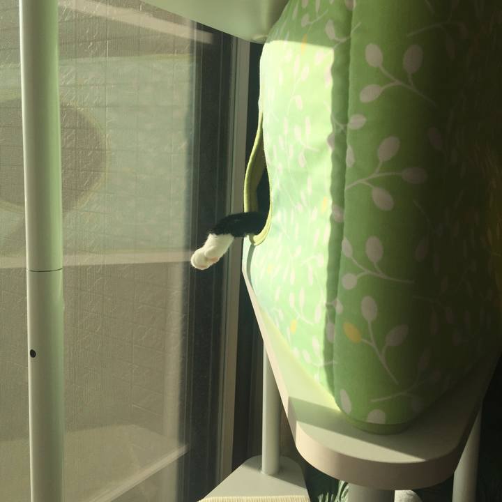 1fe10cbe 29f9 4cbd 92bf 60900dbcc6a1