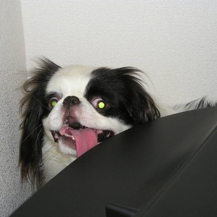 1fe129a0 3174 471b 9926 cb2cc4976ef6