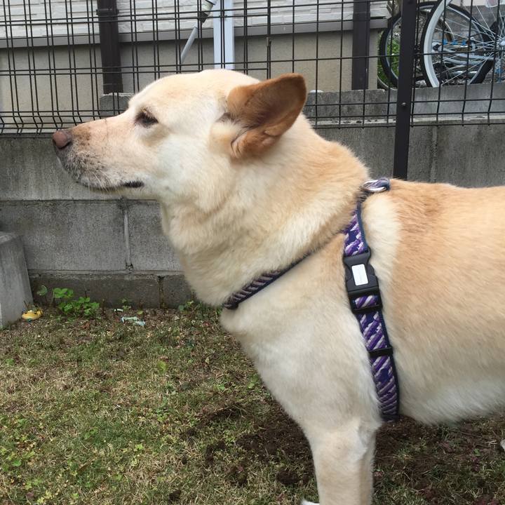 1fe214b9 a0b6 417a a5a6 6655aff7724c