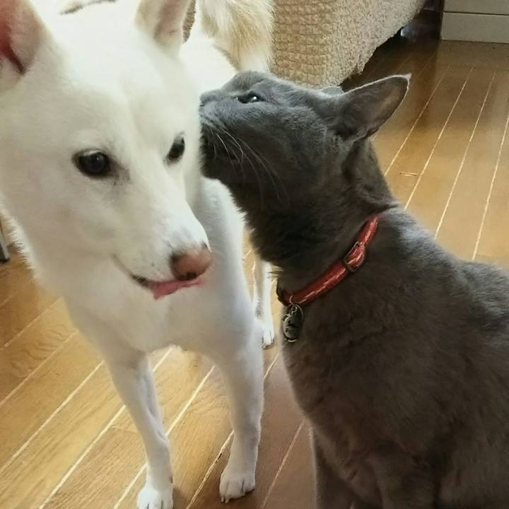 1fe21a3d 001d 44c3 b20d d72fa9f0bcab