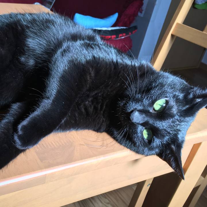 1fe354e7 a2d7 443d ad8c a718853e3758