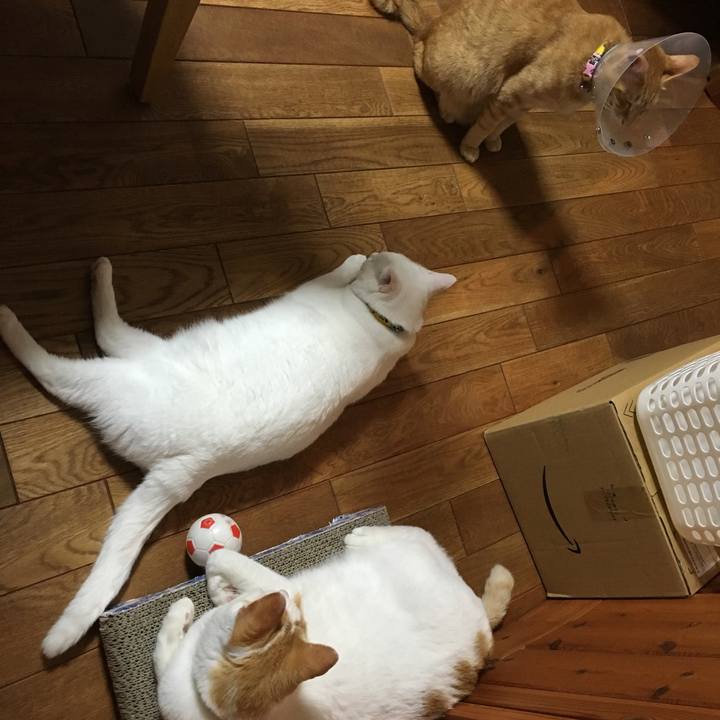 1fe36b64 a889 4742 8e68 8b31b01a9e5d