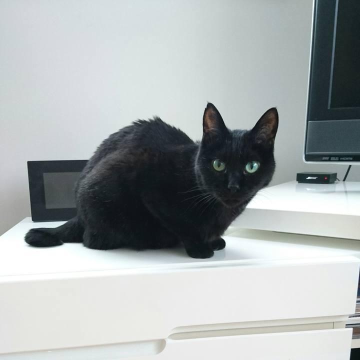 1fe36b73 b7e6 4bd7 8edb 12239e3758c6