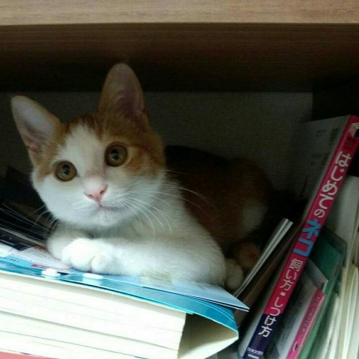 1fe377f1 424a 4773 b65c d6db7ec249b7