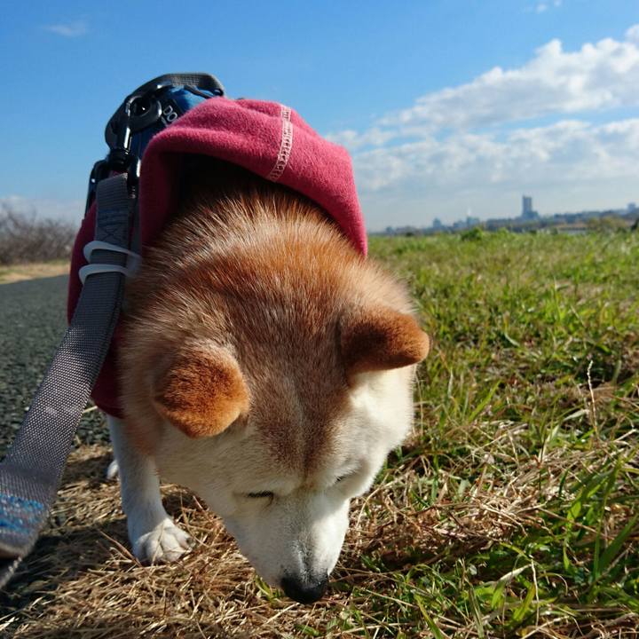 1fe3d956 9992 4967 88c0 202bfb36aa58