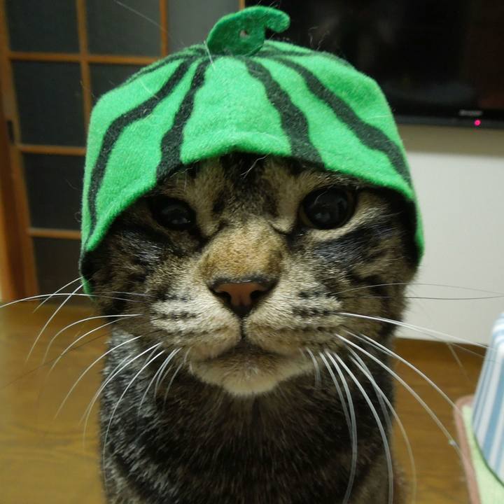 1fe4ae1e b6eb 4b7d 964a 69d678e6edde