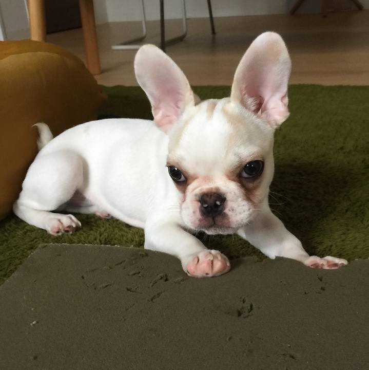 1fe50159 926a 4916 989f 3fcffbcc00d6