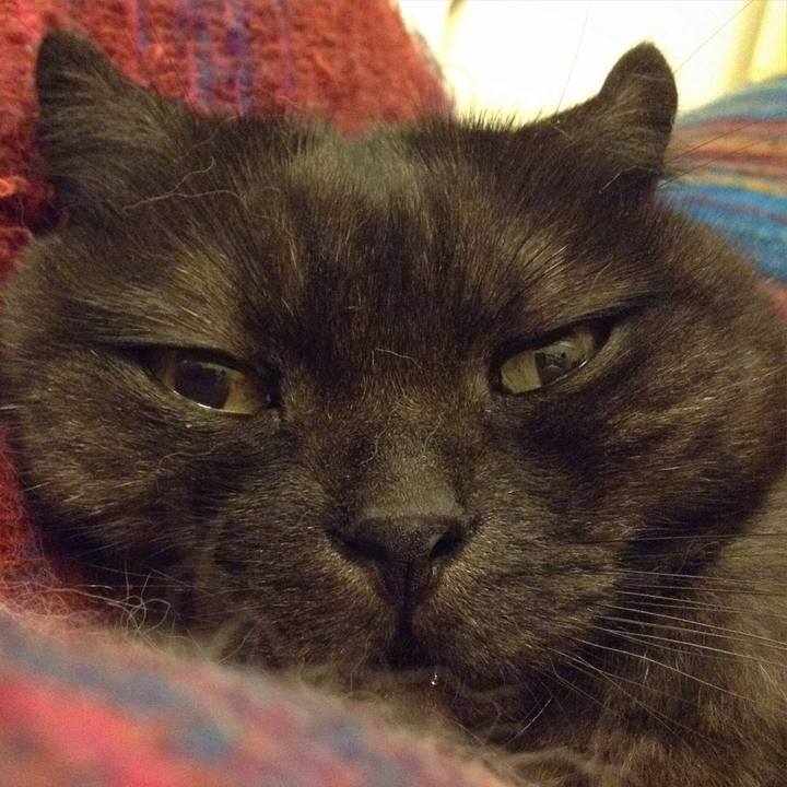 1fe515e2 6fc4 4876 a024 e5ddc6a88834