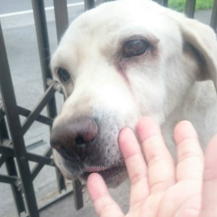 1fe58fd9 b1bd 4643 896b 2cc27fd1a266