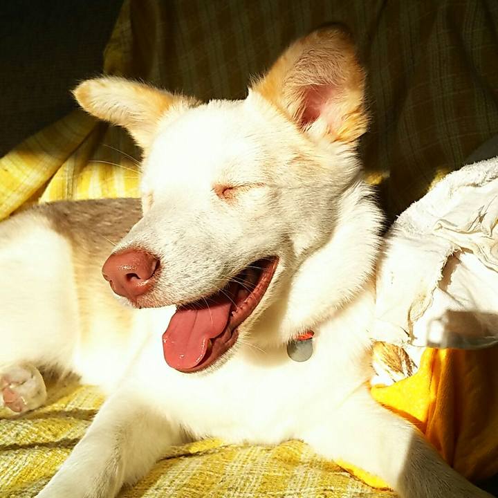 1fe5d83a 1605 430f 91b8 812b8d003d73