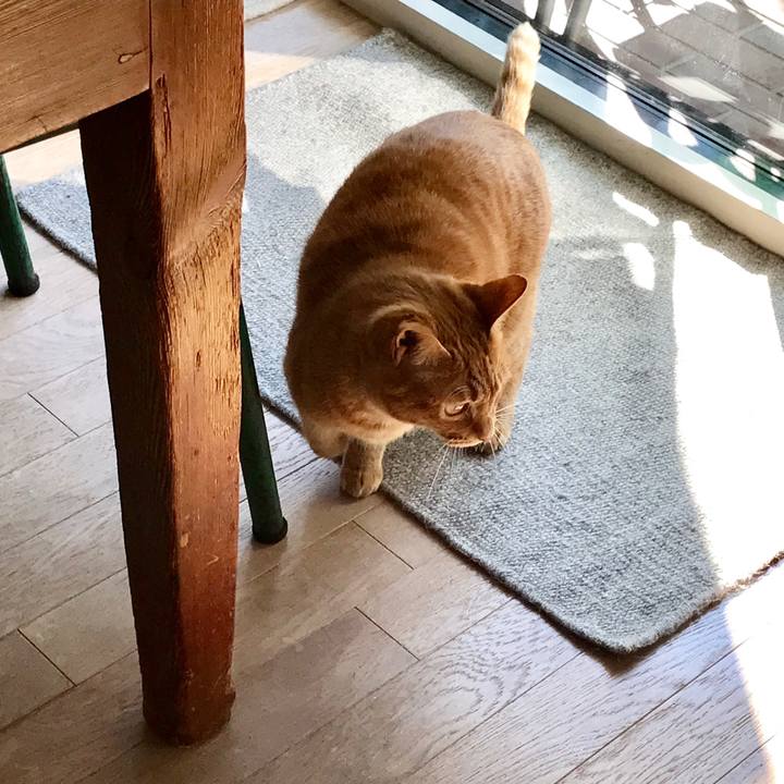 1fe6231a ca7c 4da5 aa74 ed6878fd779d