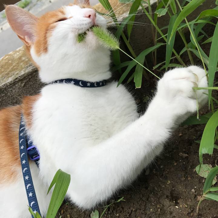 1fe6f47d 6b29 419e 86a4 8e5007058f73