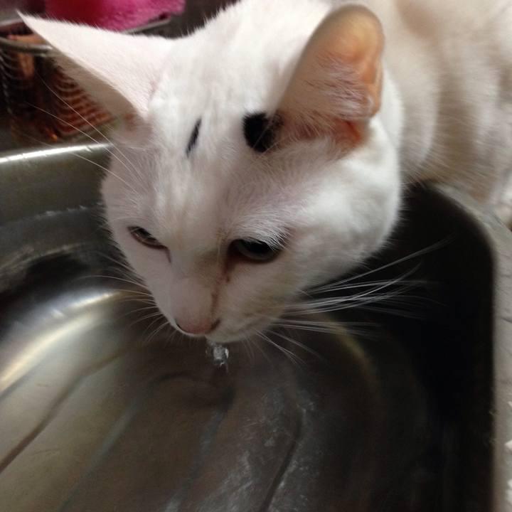 1fe71d9c 8d10 4e5d 8378 aae51d69f40a