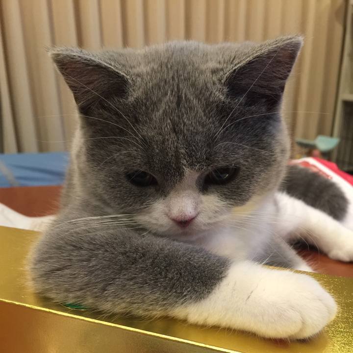 1fe743cd aca7 458d 8836 b0ac246067c8