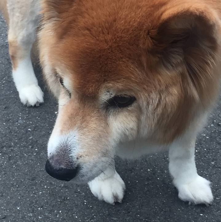 1fe7c6d7 be87 47ab a67f f335bd554884