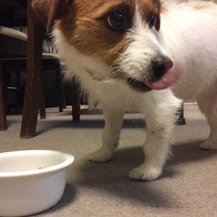 1fe7d0b4 a1c4 4718 ae70 94292497427c