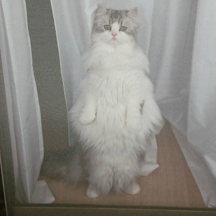 1fe8c0f8 ebed 4990 9264 fe9d852dbc03