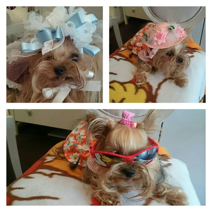 1fe90796 37ac 45d8 9a25 7db5ac7d0779