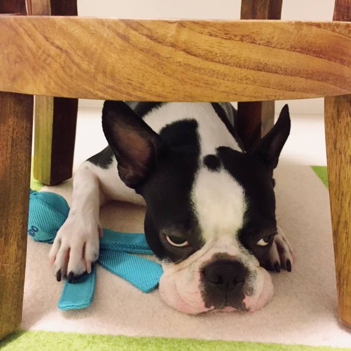 1fe90d30 98ba 46b5 a6d6 3f6089252ef7