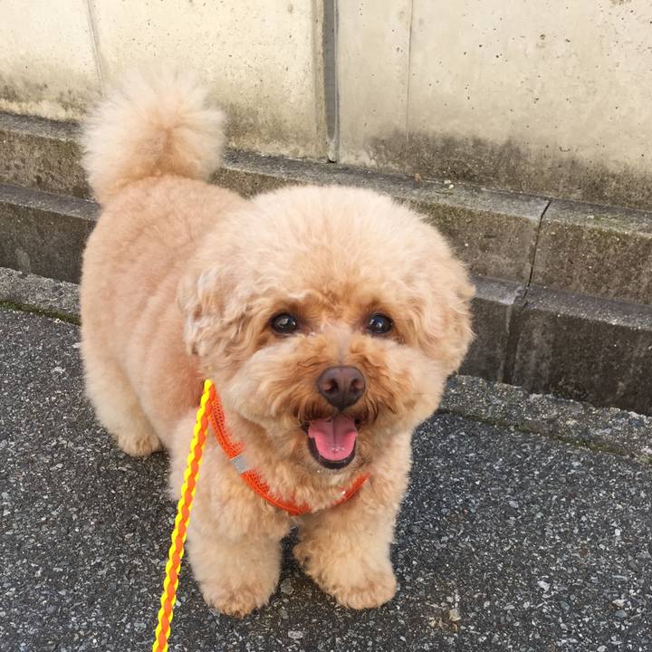 1fe930ba fff7 4daa a0ac b8d39c99ca10