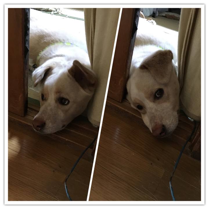 1fe951b3 2e61 4522 bb89 0670b3ab4246