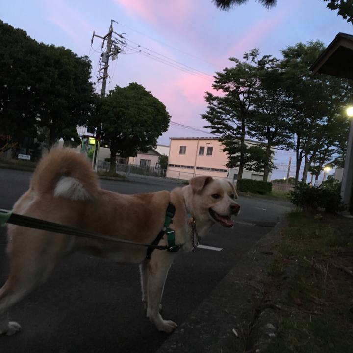 1fe9bd50 316c 48cf 9b03 074aa1044ac5