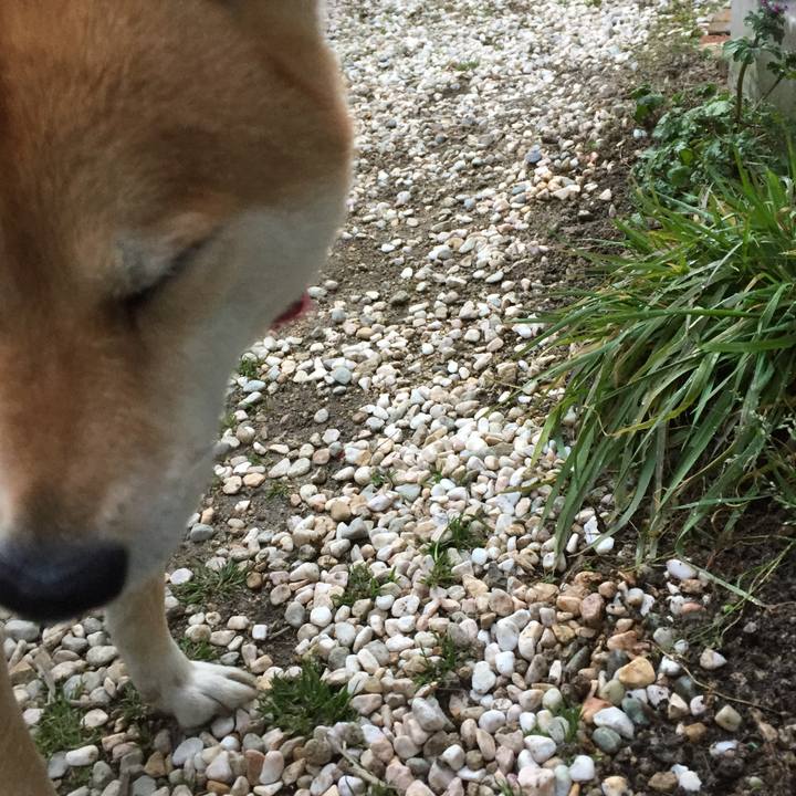 1fe9d31d ee9a 4597 8e56 36fab1165f58