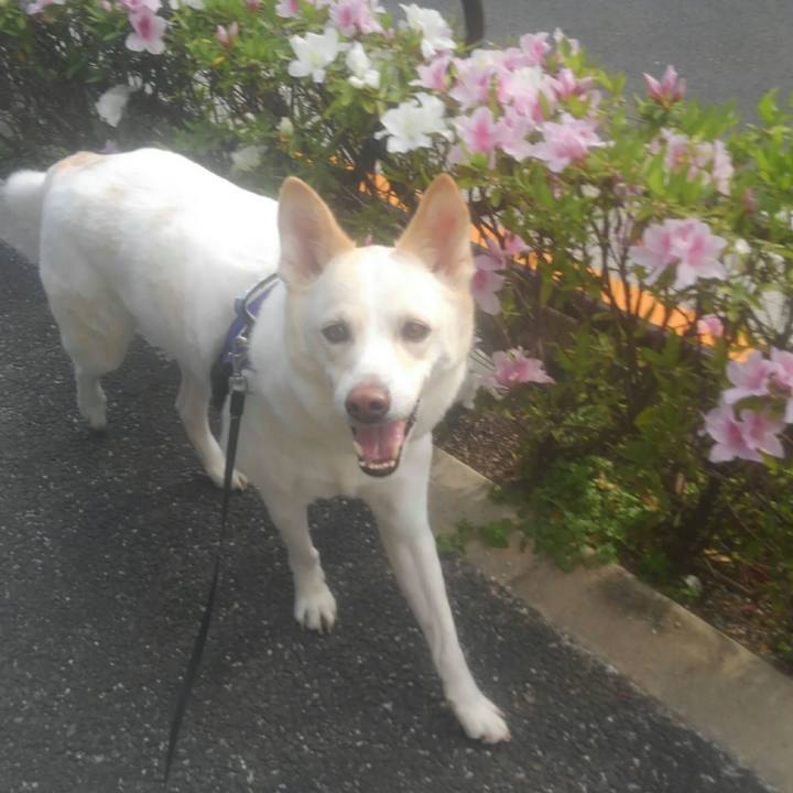 1fe9fd91 c005 453e b355 642552495f07