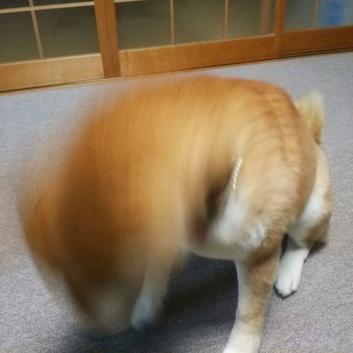 1fea102e 2d39 469b ac7a caf2255d3ad5