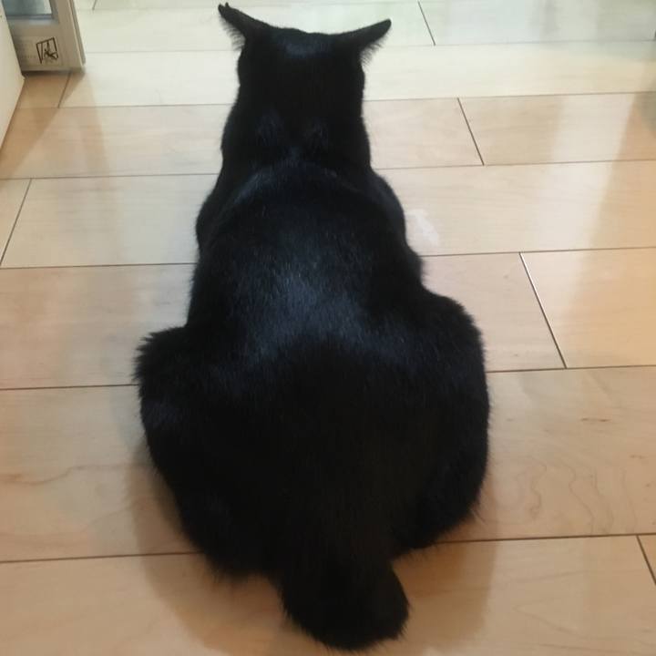 1fea1846 4143 4b29 a53c 1bc1d9bb541c