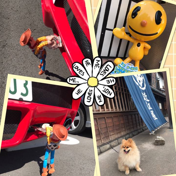 1fea66f0 91cf 4bce 9a09 446bd68e03fe