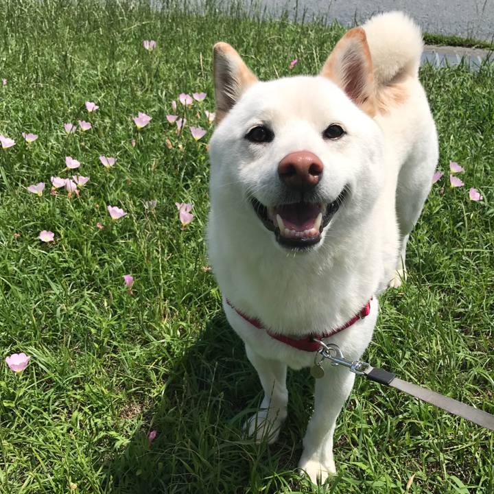 1feb01e3 1ce7 4540 8284 959d089ab62a