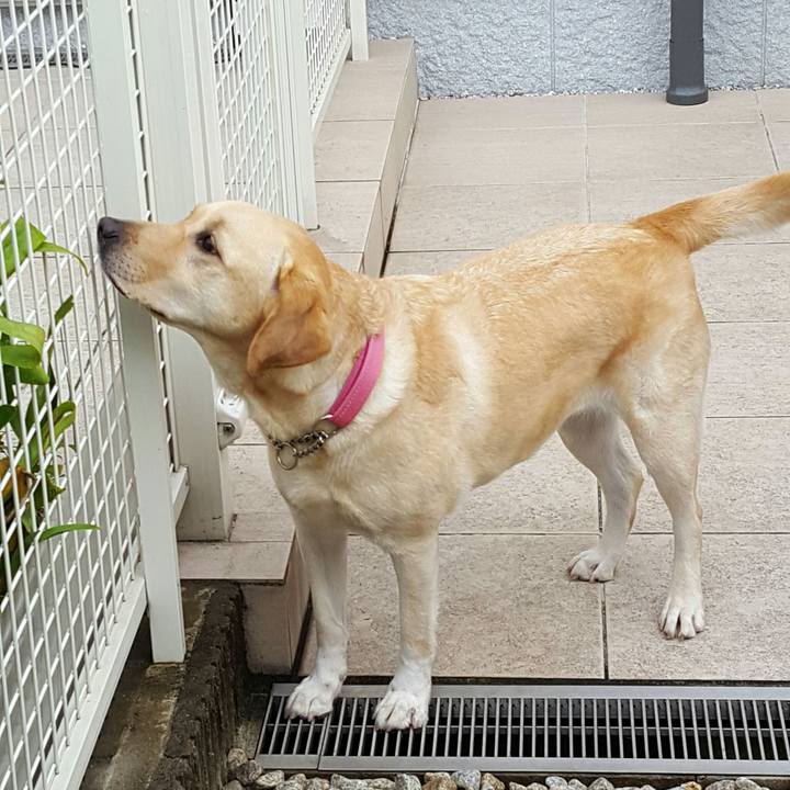 1feb2389 8ca9 41ff b7e0 d5ed1861a5ab