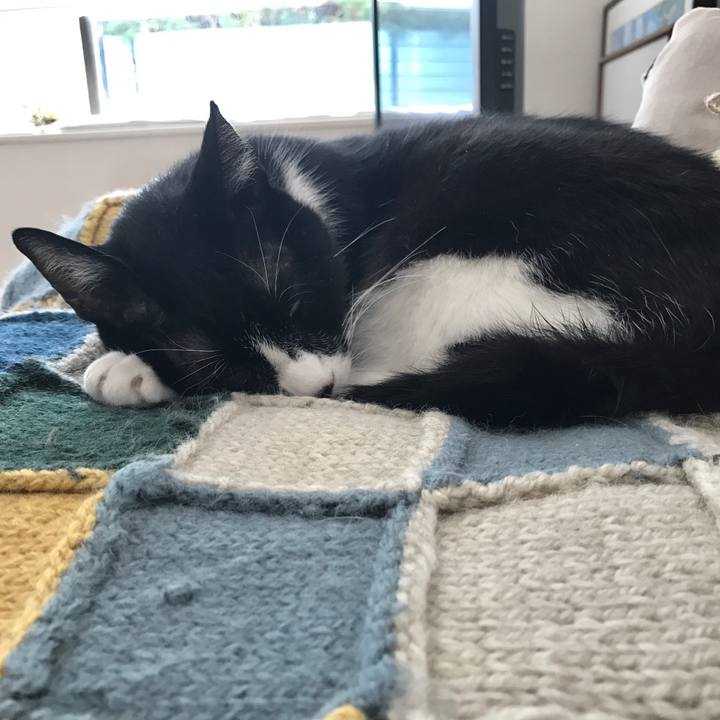 1fec796f 6a54 46a4 b778 f8a2b29bc48c