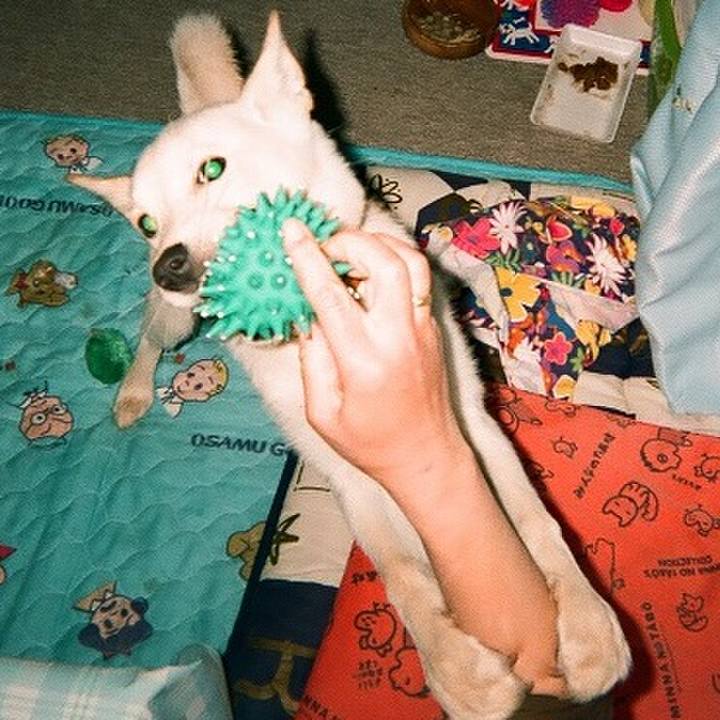 1fec9672 c4f6 4dd1 9ffb 7225441dc29e