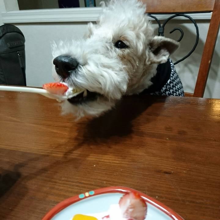 1fed2d34 4c32 4873 b1e0 d0431af8ec80